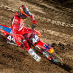Riding Pants from Troylee