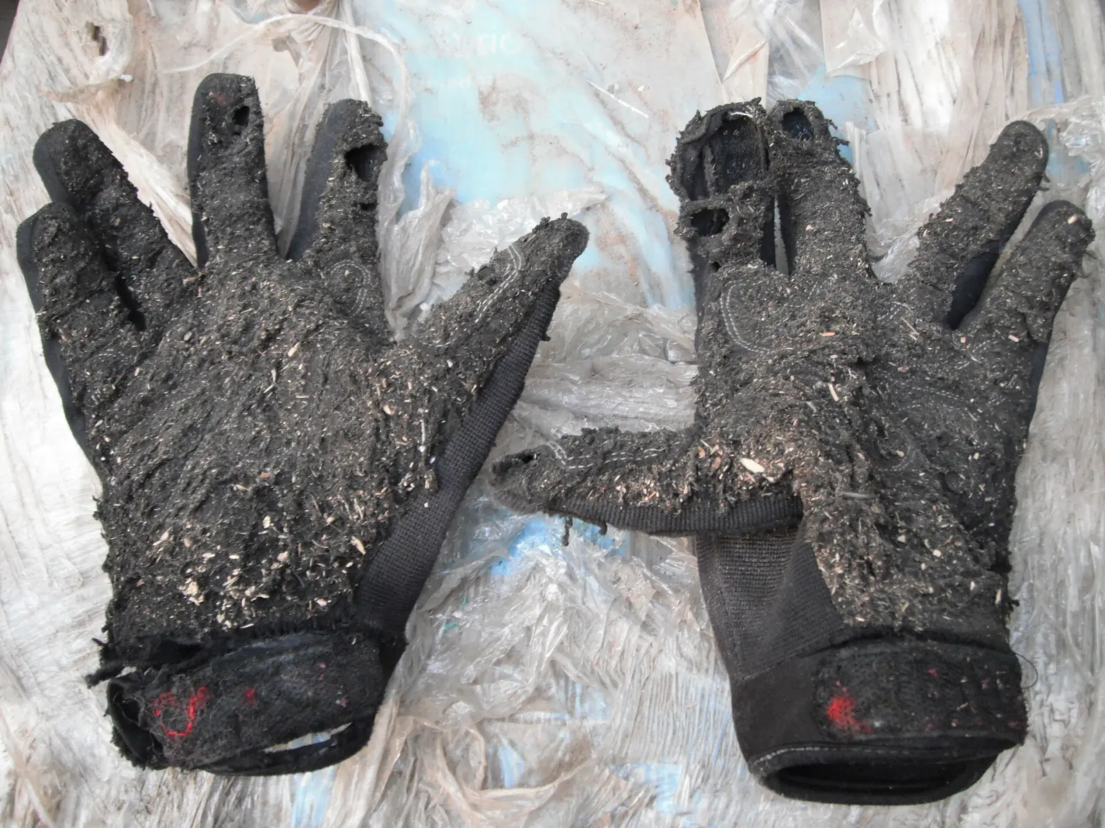 Worn motorcycle gloves showing damage and signs of use